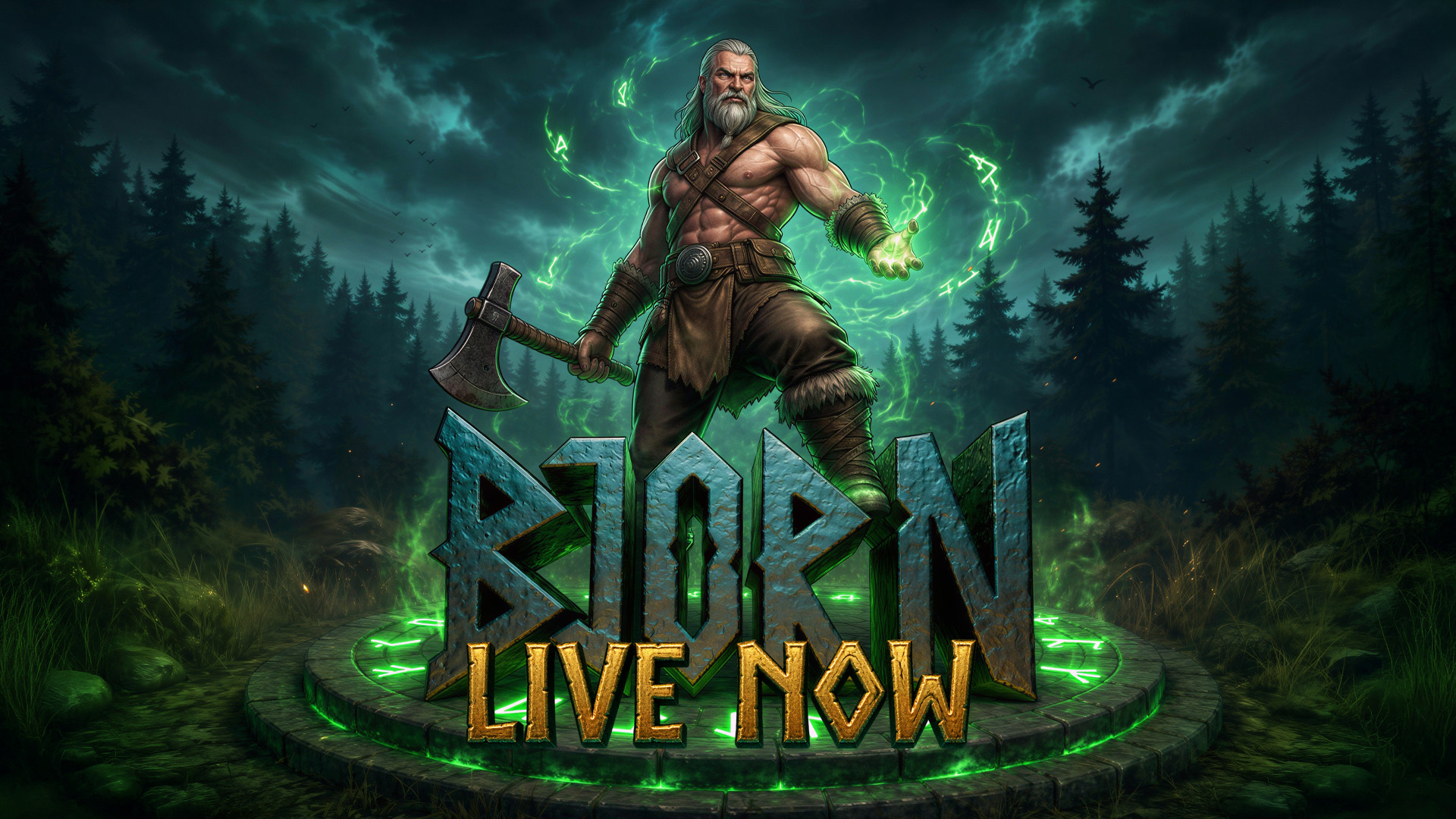 Cover image of the video slot Bjorn.